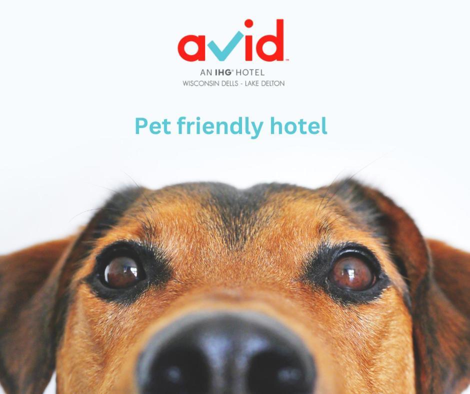 Avid Hotel Wisconsin Dells Lake Delton By Ihg Ngoại thất bức ảnh